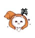 Meow and wang（個別スタンプ：6）