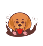 Meow and wang（個別スタンプ：11）
