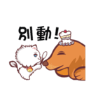 Meow and wang（個別スタンプ：12）