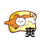 Meow and wang（個別スタンプ：15）