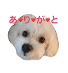 うたまるですっ2（個別スタンプ：10）