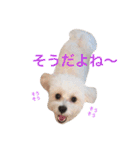 うたまるですっ2（個別スタンプ：18）