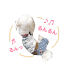 うたまるですっ2（個別スタンプ：24）
