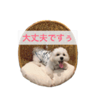 うたまるですっ2（個別スタンプ：28）