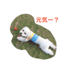 うたまるですっ2（個別スタンプ：30）