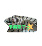 フェレッツ デイリー ライフ2（個別スタンプ：10）