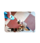 フェレッツ デイリー ライフ2（個別スタンプ：23）