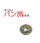 りくちゃん公式スタンプ（個別スタンプ：18）