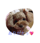 まるぷーとてぃーぷー（個別スタンプ：6）