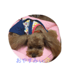 まるぷーとてぃーぷー（個別スタンプ：11）