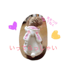 まるぷーとてぃーぷー（個別スタンプ：19）