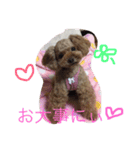 まるぷーとてぃーぷー（個別スタンプ：24）