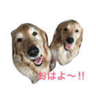 日頃使う言葉‼︎（個別スタンプ：1）