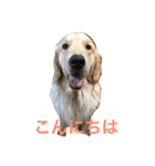 日頃使う言葉‼︎（個別スタンプ：2）