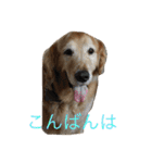 日頃使う言葉‼︎（個別スタンプ：3）
