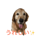 日頃使う言葉‼︎（個別スタンプ：5）