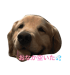 日頃使う言葉‼︎（個別スタンプ：6）