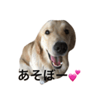 日頃使う言葉‼︎（個別スタンプ：7）