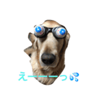 日頃使う言葉‼︎（個別スタンプ：9）