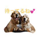 日頃使う言葉‼︎（個別スタンプ：15）