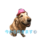 日頃使う言葉‼︎（個別スタンプ：17）