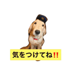 日頃使う言葉‼︎（個別スタンプ：20）