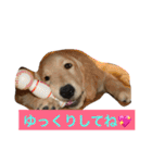 日頃使う言葉‼︎（個別スタンプ：22）