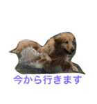 日頃使う言葉‼︎（個別スタンプ：23）