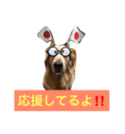 日頃使う言葉‼︎（個別スタンプ：24）