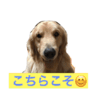 日頃使う言葉‼︎（個別スタンプ：27）
