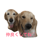 日頃使う言葉‼︎（個別スタンプ：32）