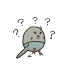 ゆかいなセキセイインコたち（個別スタンプ：8）