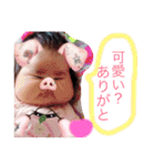 りったんのラブスタンプ（個別スタンプ：17）