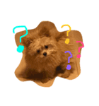 ポメプーMIX犬モカちゃん（個別スタンプ：2）