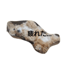 ここ＆るい（個別スタンプ：3）