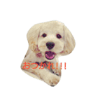ここ＆るい（個別スタンプ：4）