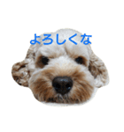 ここ＆るい（個別スタンプ：8）