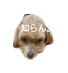 ここ＆るい（個別スタンプ：13）