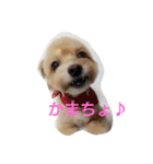 ここ＆るい（個別スタンプ：15）