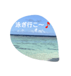 summer Kagoshima（個別スタンプ：3）