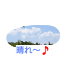 summer Kagoshima（個別スタンプ：4）