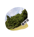 summer Kagoshima（個別スタンプ：6）