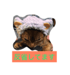 飛鳥の毎日（個別スタンプ：4）