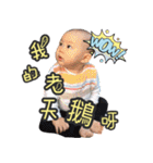 Little dinosaurs and ginger 1（個別スタンプ：13）