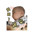 Little dinosaurs and ginger 1（個別スタンプ：14）