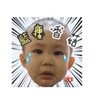 Little dinosaurs and ginger 1（個別スタンプ：22）