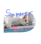 猫鹿鳥（個別スタンプ：9）