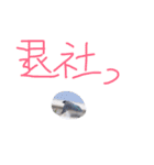 猫鹿鳥（個別スタンプ：31）