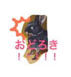 とげすうさぎ（個別スタンプ：1）