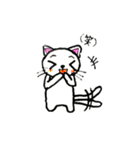 ねこよりネコ（個別スタンプ：5）